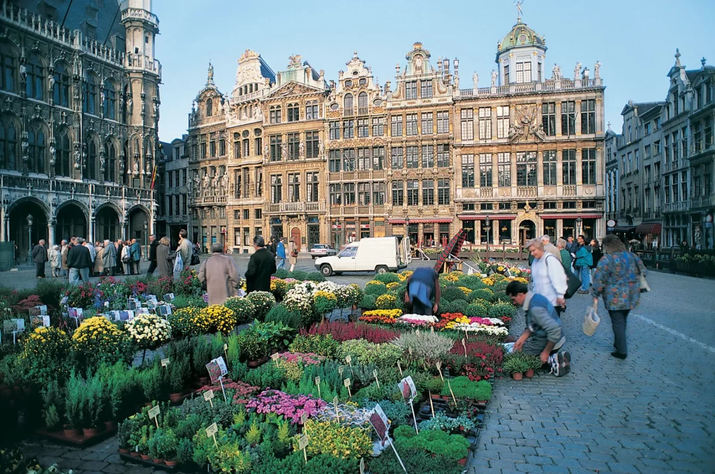 weed-in-brussels