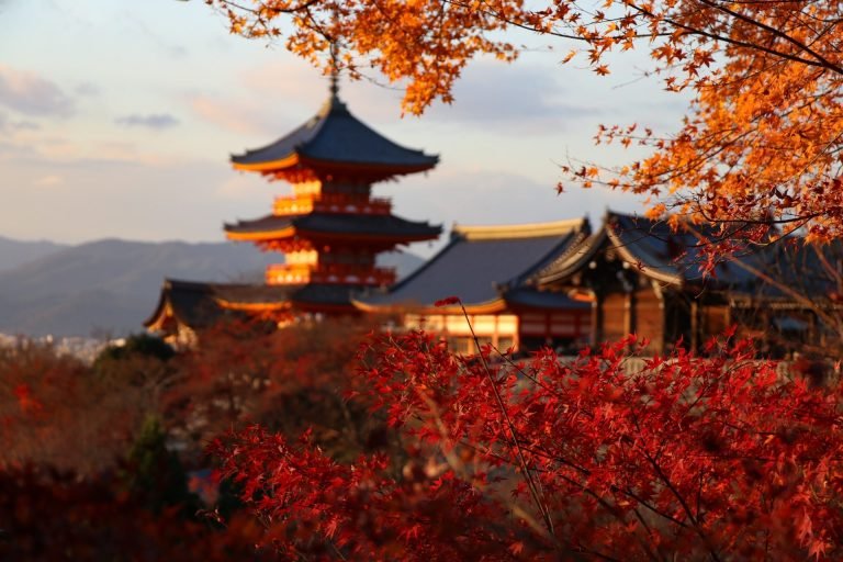 cannabis-in-kyoto