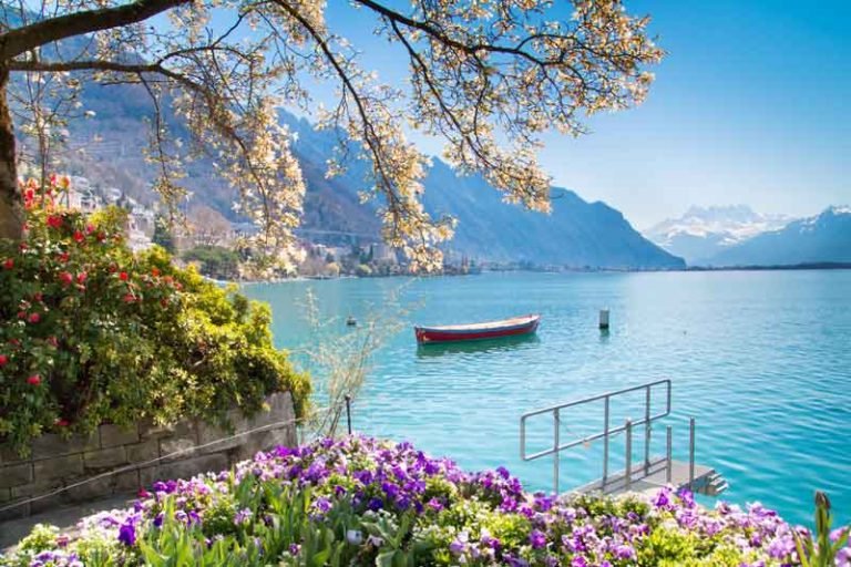 weed-in-montreux